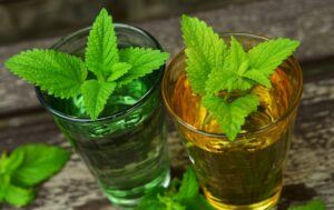 Lemon Balm For Anxiety and Depression