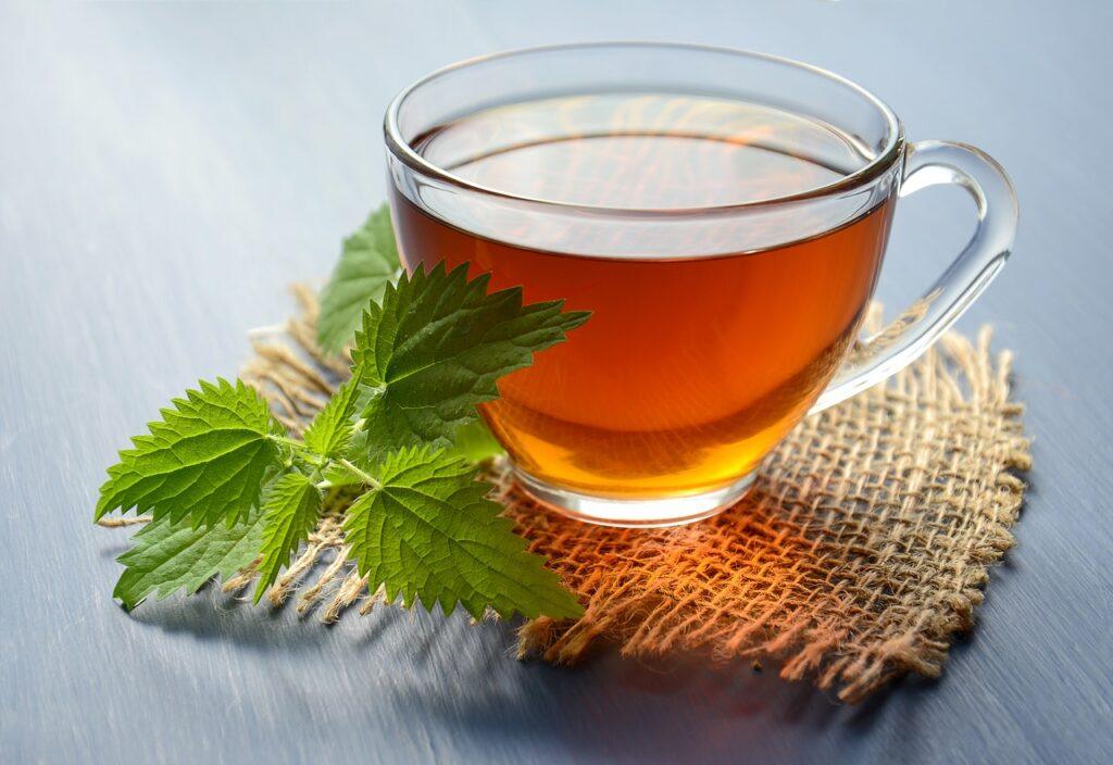 Nettle Tea for asthma