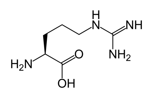 l- Arginine Benefits For Erectile Dysfunction