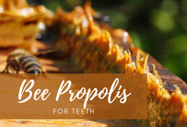 bee propolis for teeth