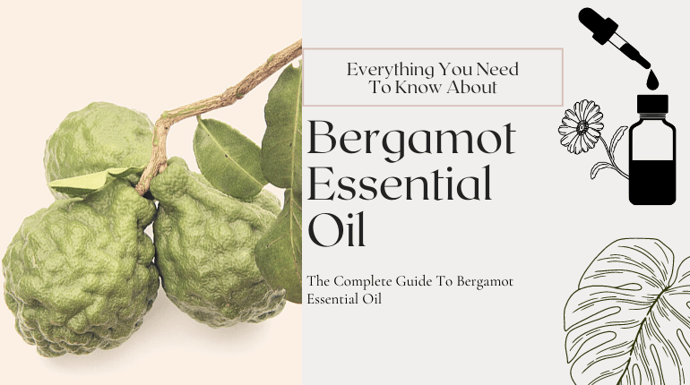 what is bergamot essential oil