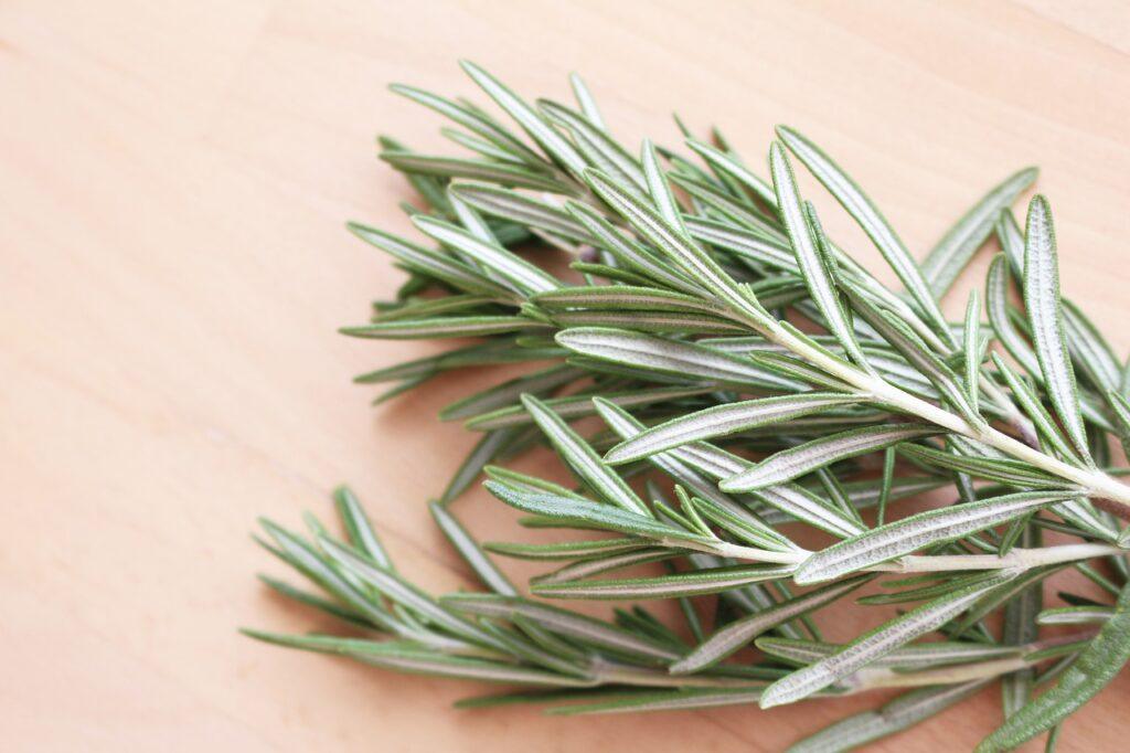 Rosemary For Cancer