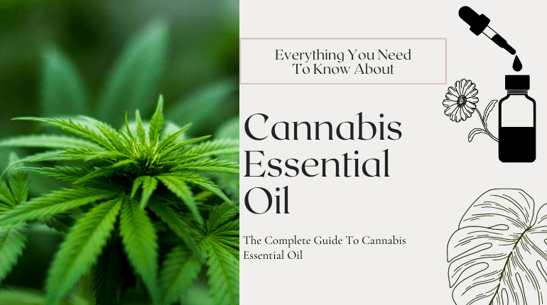 what is cannabis essential oil