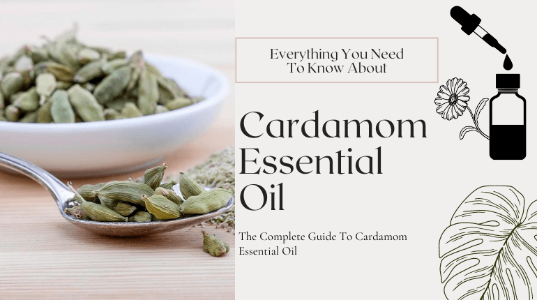 about cardamom essential oil
