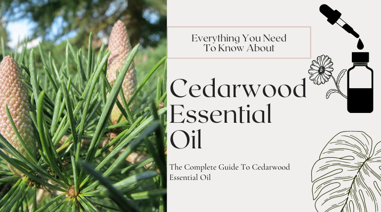 what is cedarwood essential oil