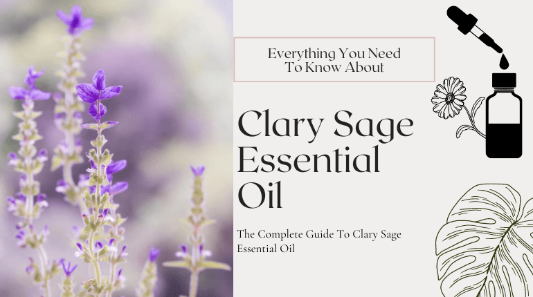 about clary sage essential oil