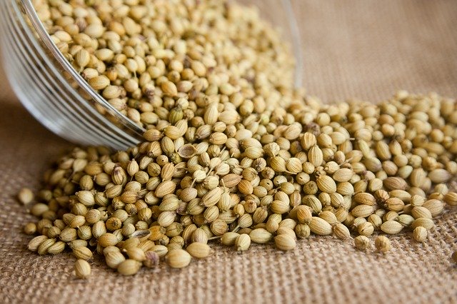 what is coriander essential oil