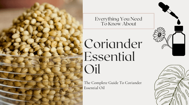 about coriander essential oil