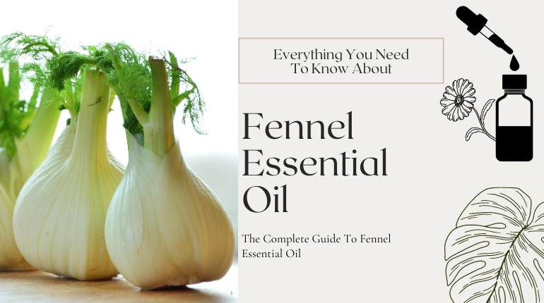 about fennel essential oil
