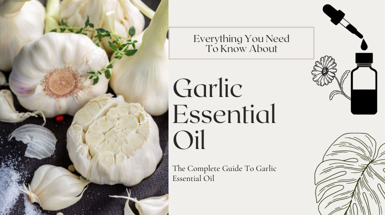 30 Amazing Health Benefits Of Garlic Essential Oil ⚗️