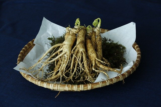 panax ginseng for ed
