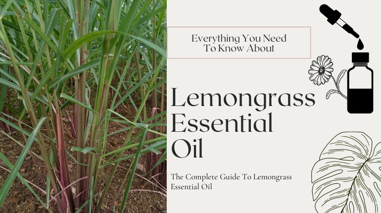 24 Surprising Benefits Of Lemongrass Essential Oil