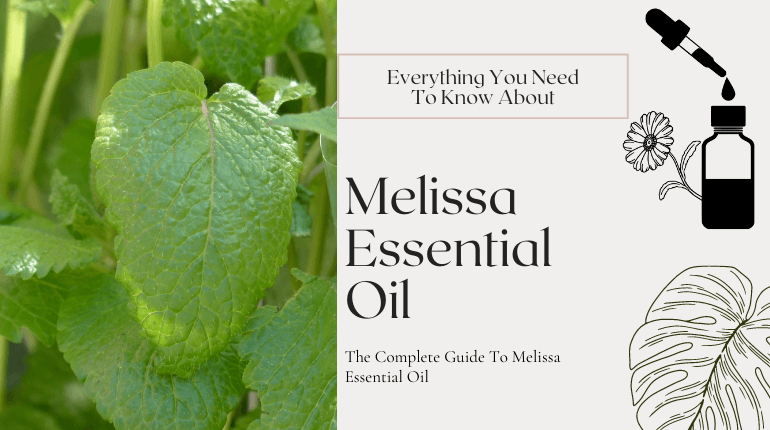 about melissa essential oil