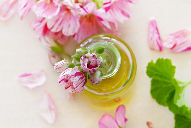 what is geranium essential oil