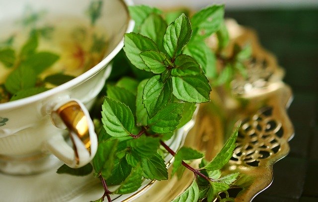 what is peppermint essential oil