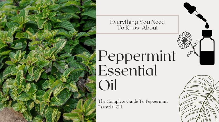 about peppermint essential oil