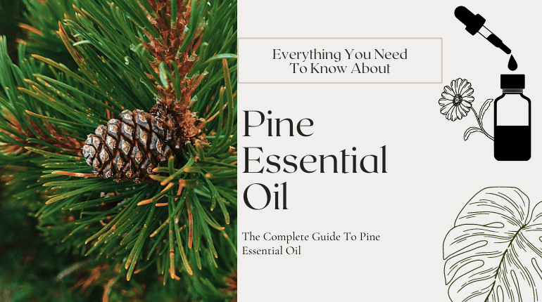 about pine essential oil