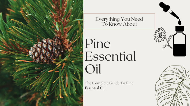 33 Surprising Benefits Of Pine Essential Oil ⚗️