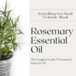 about rosemary essential oil