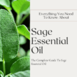 about sage essential oil