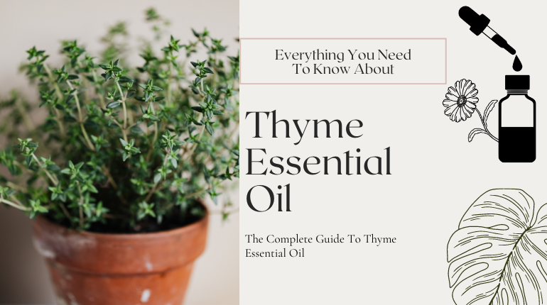 island thyme essential oils
