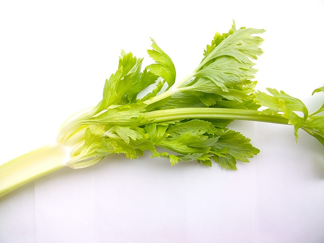 celery seed for joint pain