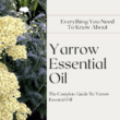 about yarrow essential oil